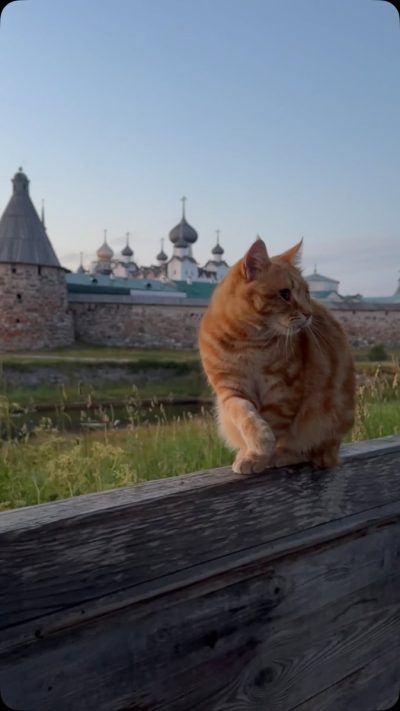 Остров Соловки. Соловецкий монастырь в июле — фото погоды (2026-07-16)