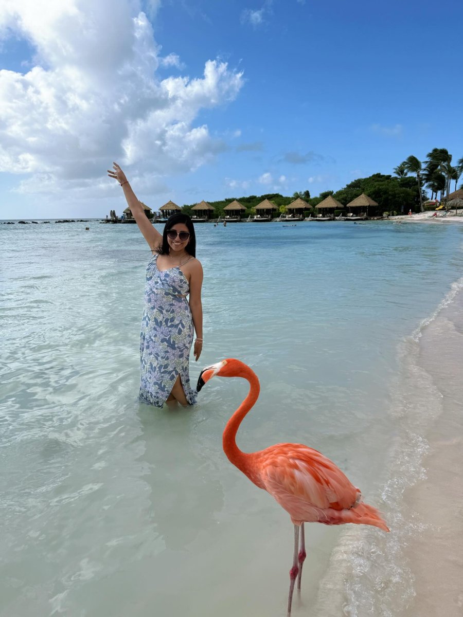 Погода в Flamingo Beach