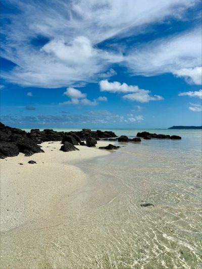 Ile Aux Cerf - Paradise Island в ноябре — фото погоды (2025-11-17)