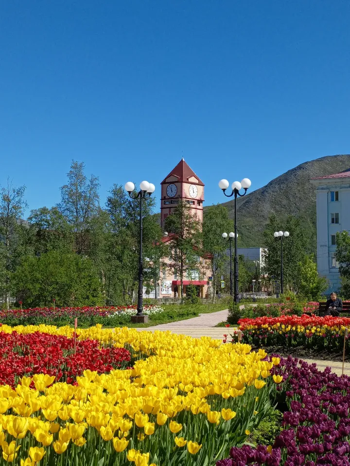 Погода в Кировск