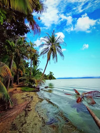 Starfish Beach, Bocas Del Toro, Panama в октябре — фото погоды (2025-10-17)