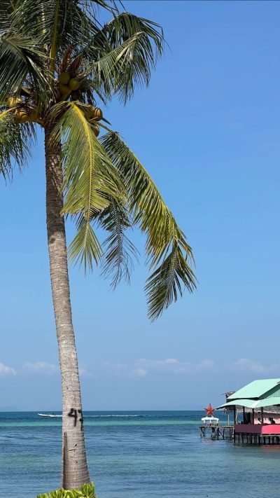 Starfish Beach, Bocas Del Toro, Panama в январе — фото погоды (2026-01-13)