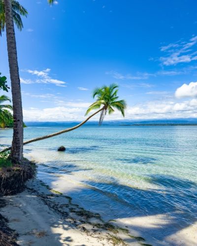 Starfish Beach, Bocas Del Toro, Panama в феврале — фото погоды (2026-02-25)
