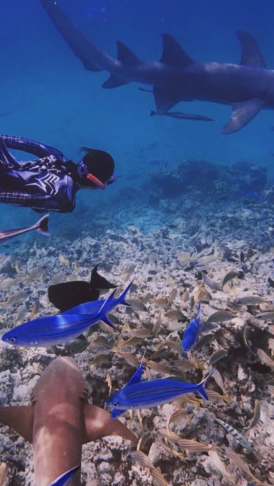 Milaidhoo Island, Maldives в феврале — фото погоды (2026-02-22)