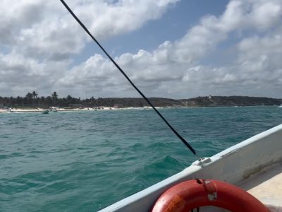 Tulum, Zona Arqueológica & Playa, Rivera Maya в марте — фото погоды (2026-03-25)