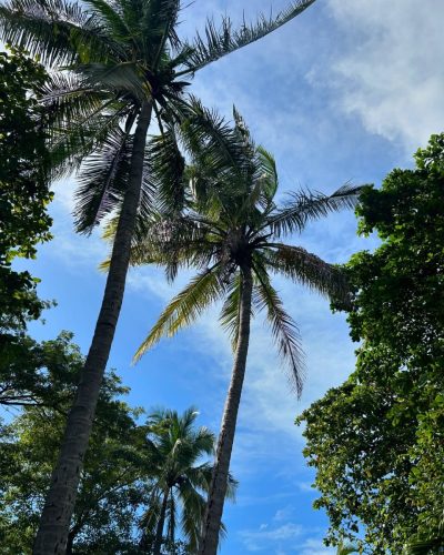 Tamarinda, Costa Rica в декабре — фото погоды (2024-12-08)