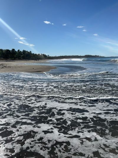Tamarinda, Costa Rica в феврале — фото погоды (2026-02-17)