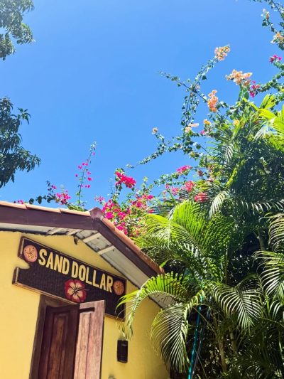 Tamarinda, Costa Rica в апреле — фото погоды (2026-04-24)
