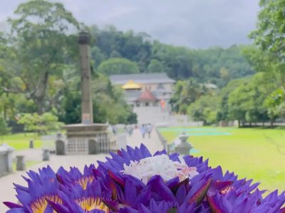 Kandy - මහ නුවර - கண்டி live в июле — фото погоды (2026-07-07)