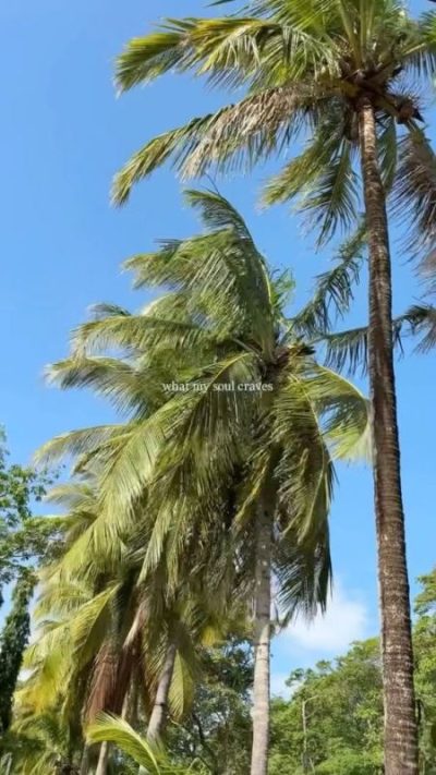 Playa Negra, Guanacaste, Costa Rica в июле — фото погоды (2026-07-12)