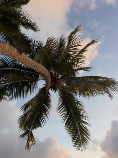 Constance Lemuria Resort - Seychelles — фото погоды в июле (2026-07-10)