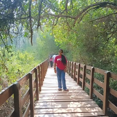 Mangrove Forest в январе — фото погоды (2026-01-21)