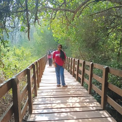 Mangrove Forest в январе — фото погоды (2026-01-21)