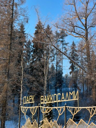 Ладожские шхеры в январе — фото погоды (2026-01-19)
