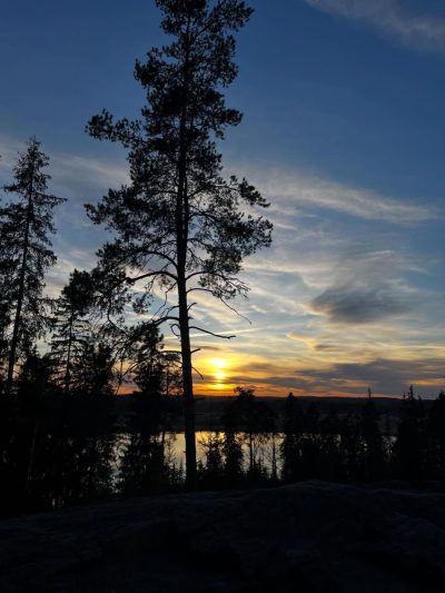 Парк Ваккосалми в мае — фото погоды (2026-05-05)