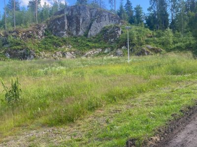Парк Ваккосалми в июле — фото погоды (2026-07-02)