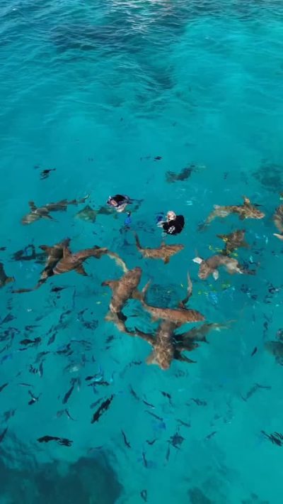 Ukulhas, Maldives в июле — фото погоды (2026-07-15)