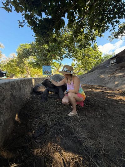 L'union Private Estate, La Digue в ноябре — фото погоды (2025-11-19)