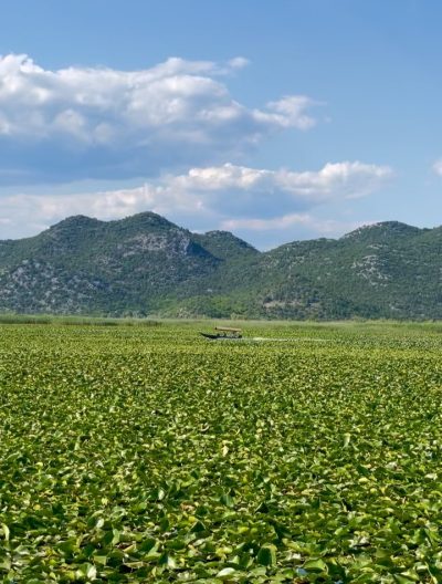 Skadar Lake, Montenegro в июле — фото погоды (2026-07-08)