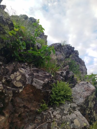 Камчатский Камень в июле — фото погоды (2025-07-03)