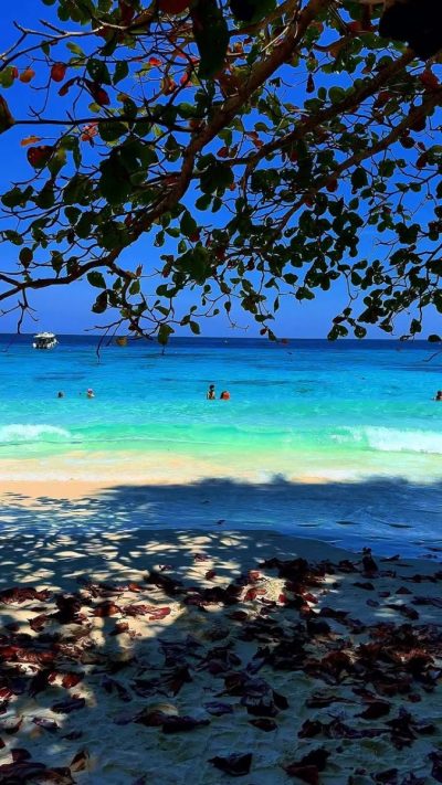 Similan Islands Phang-nga в марте — фото погоды (2024-03-31)