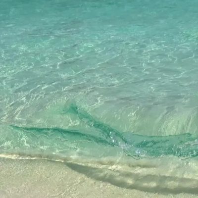 Similan Islands Phang-nga в апреле — фото погоды (2024-04-18)