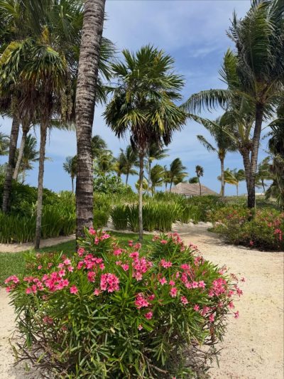 Royalton Hideaway Riviera Cancun в июле — фото погоды (2026-07-07)