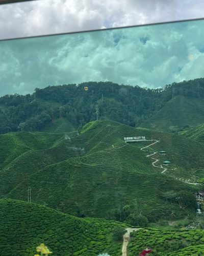 Bharat Tea Cafe, Cameron Highland в декабре — фото погоды (2025-12-11)