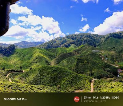 Bharat Tea Cafe, Cameron Highland в марте — фото погоды (2026-03-20)