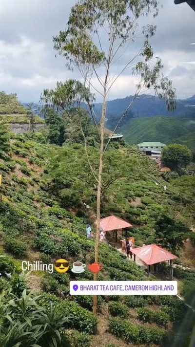 Bharat Tea Cafe, Cameron Highland в июле — фото погоды (2026-07-14)