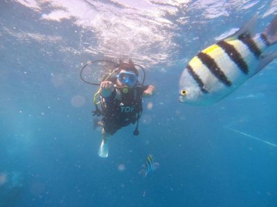 Dahab (Red Sea), EGYPT в апреле — фото погоды (2026-04-06)
