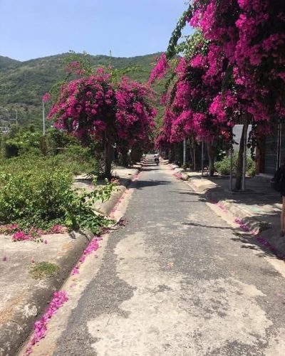 Con Đường Hoa Giấy Bạch Thái Bưởi в июне — фото погоды (2023-06-18)