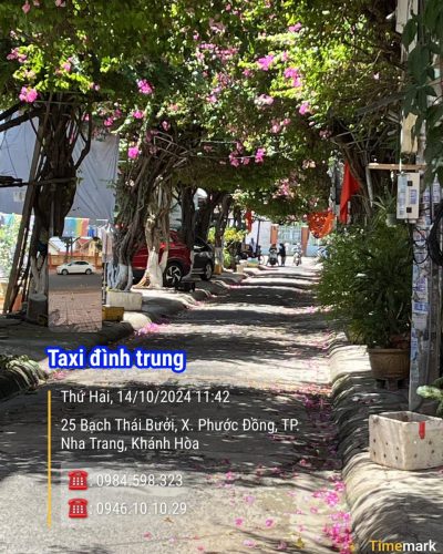Con Đường Hoa Giấy Bạch Thái Bưởi в октябре — фото погоды (2024-10-14)