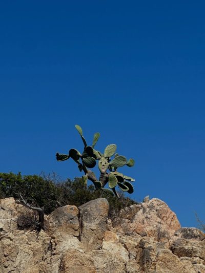 Sardegna в июне — фото погоды (2026-06-25)