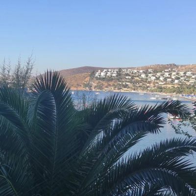 Jura Hotels Bodrum Resort — фото погоды в августе (2024-08-17)