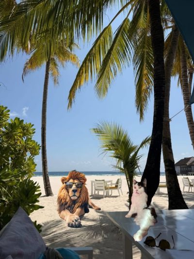 Finolhu Resort, Maldives — фото погоды в январе (2026-01-28)