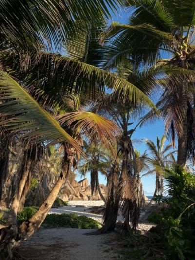 Anse Cocos, La Digue, Seychelles в декабре — фото погоды (2025-12-22)