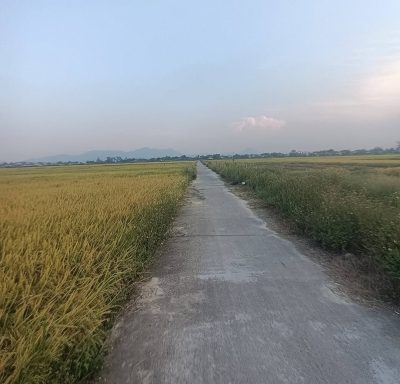 Hai Van Pass в апреле — фото погоды (2026-04-24)