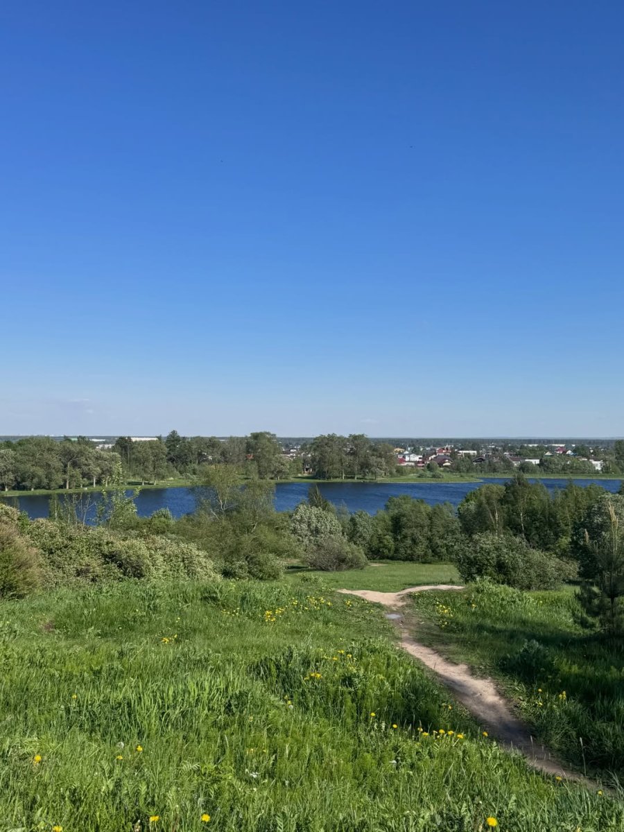 Погода в Петергоф