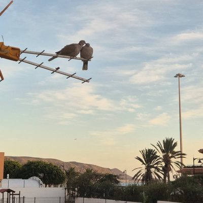 Torres Del Sol Los Cristianos в декабре — фото погоды (2024-12-30)