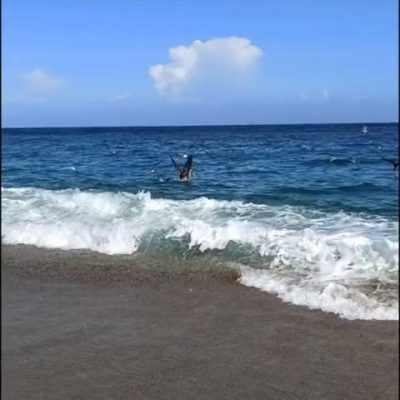 Isla De Margarita, Kokobay Hotel — фото погоды в декабре (2020-12-11)