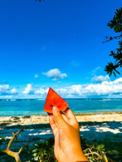 Palmar Beach, Mauritius в декабре — фото погоды (2025-12-03)