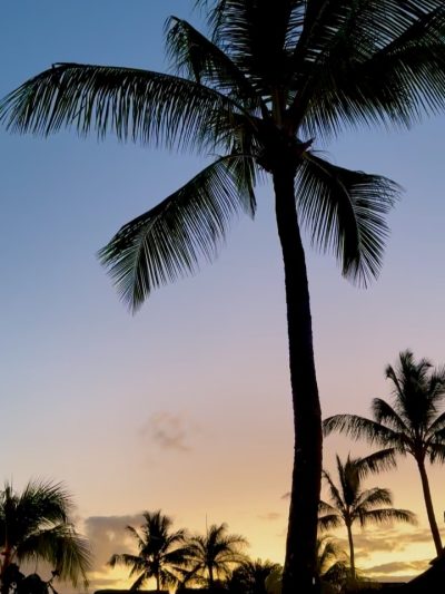 Palmar Beach, Mauritius в декабре — фото погоды (2025-12-22)