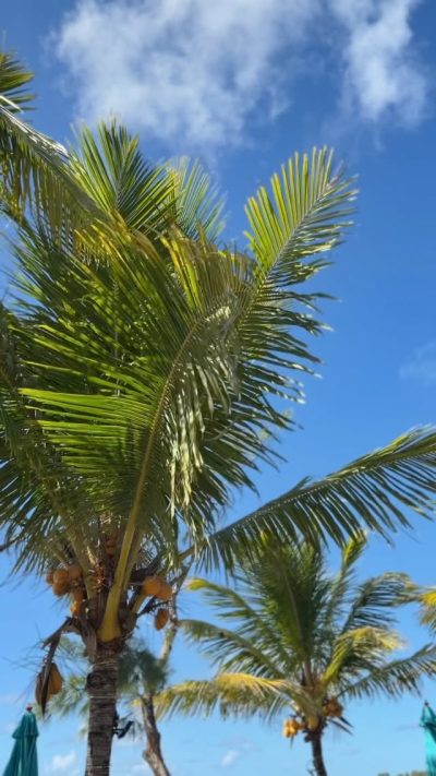 Palmar Beach, Mauritius в июле — фото погоды (2026-07-09)