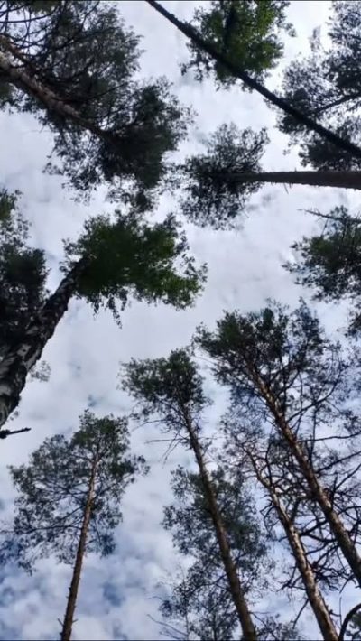 Чебоксары в июле — фото погоды (2026-07-14)