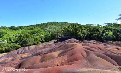Chamarel, Terre des 7 couleurs в мае — фото погоды (2026-05-03)