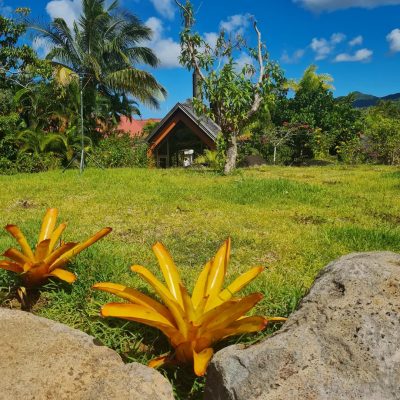 Chamarel, Terre des 7 couleurs в мае — фото погоды (2026-05-08)