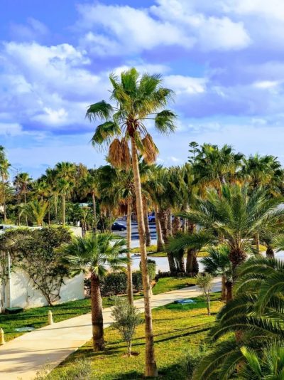 Iberostar Selection Eolia Djerba в марте — фото погоды (2026-03-28)