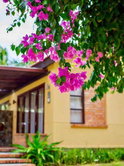 Pandanus Resort — фото погоды в октябре (2025-10-28)