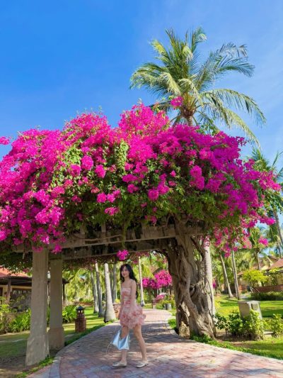 Pandanus Resort — фото погоды в феврале (2026-02-25)